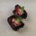 Piment Chilhuacle Negro (Capsicum annuum) graines