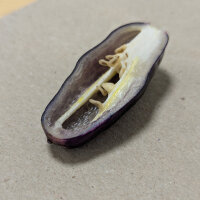 Piment violet Pimenta Da Neyde (Capsicum chinense x annuum) graines