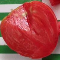 Tomate Beefsteak de Turkménistan Serdtse Ashkhabada (Solanum lycopersicum) graines