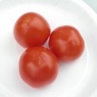 Tomate Alaska Wonder (Solanum lycopersicum) graines