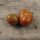 Tomate Black Pear (Solanum lycopersicum) graines