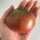 Tomate Carbon (Solanum lycopersicum) graines