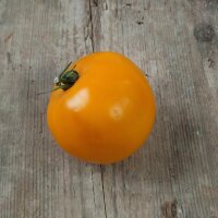 Tomate Ida Gold (Solanum lycopersicum) graines