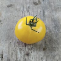 Tomate Sorbet De Citron (Solanum lycopersicum) graines