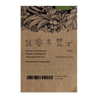 Rose des bois (Argyreia nervosa) graines