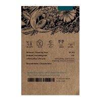Jiaogulan / Herbe de limmortalité (Gynostemma pentaphyllum) graines