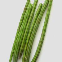 Moringa / brède mouroum (Moringa oleifera) graines