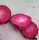 Betterave rouge Crapaudine (Beta vulgaris) graines