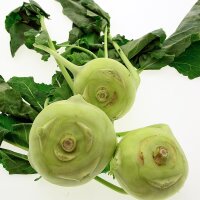 Chou-rave Superschmelz (Brassica oleracea var....