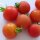 Tomate Matina (Solanum lycopersicum) Bio semences
