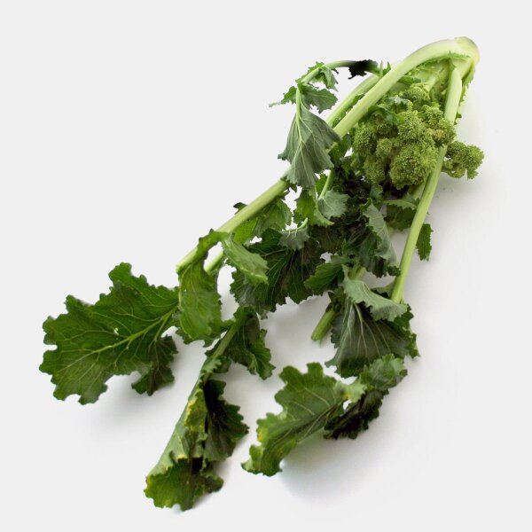 Pousses de navet / Cima di Rapa (Brassica rapa sylvestris) graines