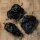 Piment Poblano Mulato Isleno (Capsicum annuum) graines