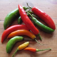 Piment Tabasco (Capsicum frutescens) graines