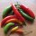 Piment Tabasco (Capsicum frutescens) graines