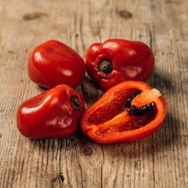 Piment Rocoto (Capsicum pubescens) graines