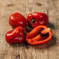 Piment Rocoto (Capsicum pubescens) graines