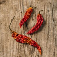 Piment Bhut Jolokia (Capsicum chinense) graines