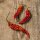 Piment Bhut Jolokia (Capsicum chinense) graines
