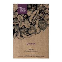Quinoa (Chenopodium quinoa) graines