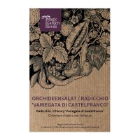 Radicchio / Chicorée Variegata di Castelfranco (Cichorium intybus var. foliosum) graines