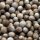 Coriandre (Coriandrum sativum) graines