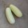 Concombre blanc White Wonder (Cucumis sativus) graines
