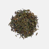 Cumin (Cuminum cyminum) graines