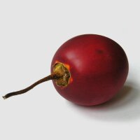 Tamarillo / tomate en arbre (Solanum betaceum) graines