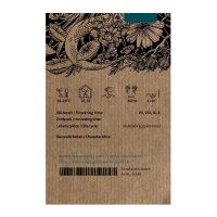 Échinacée à feuilles étroites (Echinacea angustifolia) graines