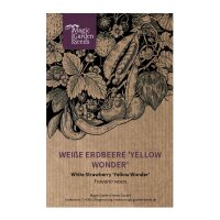 Fraise blanche Yellow Wonder" (Fragaria vesca) graines