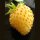 Fraise blanche Yellow Wonder" (Fragaria vesca) graines
