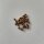 Houblon (Humulus lupulus) graines