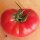 Tomate Rose de Berne (Solanum lycopersicum)  graines