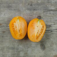Tomate Orange Banana (Solanum lycopersicum) Bio