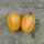 Tomate Orange Banana (Solanum lycopersicum) Bio semences