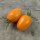 Tomate Orange Banana (Solanum lycopersicum) Bio semences