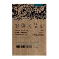 Sauge (Salvia officinalis) graines