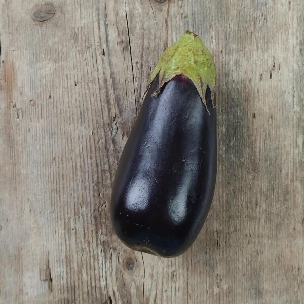 Aubergine Long purple (Solanum melongena) graines
