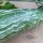 Patole / serpent gourde (Trichosanthes cucumerina var. anguina) graines