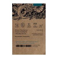 Valériane des collines (Valeriana officinalis) graines