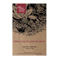 Menthe en épi / Menthe verte (Mentha viridis) graines