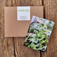 Grüneliebe by Sandra -Winter Happiness - winter vegetables in raised beds