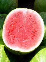 Melon pastèque Crimson Sweet (Citrullus lanatus)...