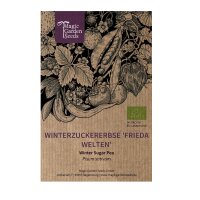 Pois mangetout dhiver Frieda Welten (Pisum sativum) bio graines