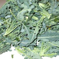 Chou brocoli (Brassica oleracea var. Italica) Bio semences