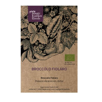 Broccolo Fiolaro (Brassica oleracea var. Italica) Bio