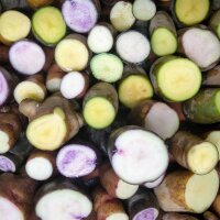 Pommes de terre (Solanum tuberosum) graines