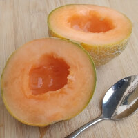 Melon Minnesota Midget (Cucumis melo)