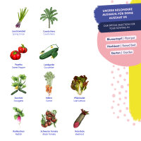 Légumes pour carrés potagers - 10 variétés pollinisés ouverts - faciles & à haut rendement - Kit de graines pour débutants