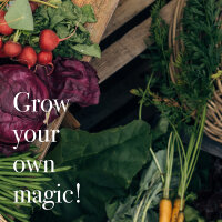 Légumes pour carrés potagers - 10 variétés pollinisés ouverts - faciles & à haut rendement - Kit de graines pour débutants
